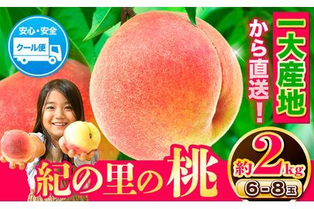 紀の里の桃 1