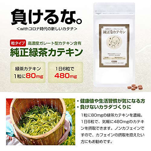 純正緑茶カテキン 2