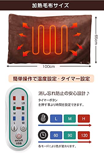 電気毛布 2