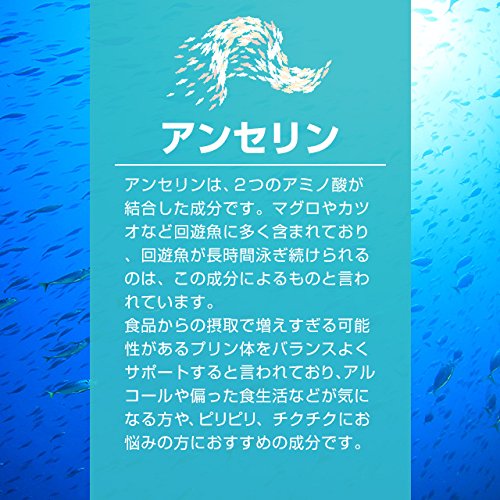 アンセリンカプセル 3