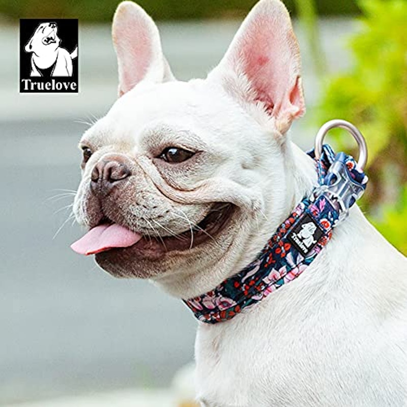 cocomall 犬用首輪 7