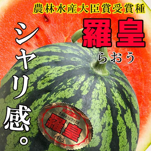 羅皇 大玉すいか 2