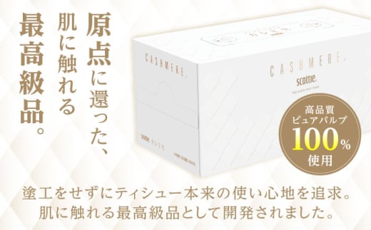 スコッティ カシミヤ 10箱 5