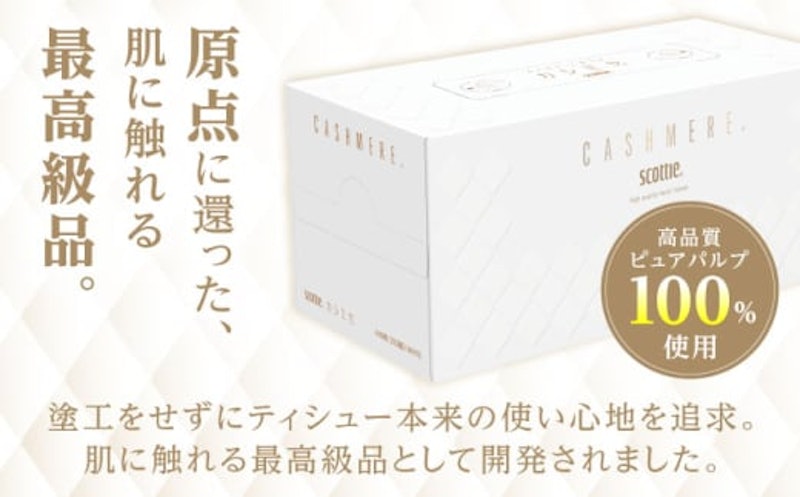 スコッティ カシミヤ 10箱 5