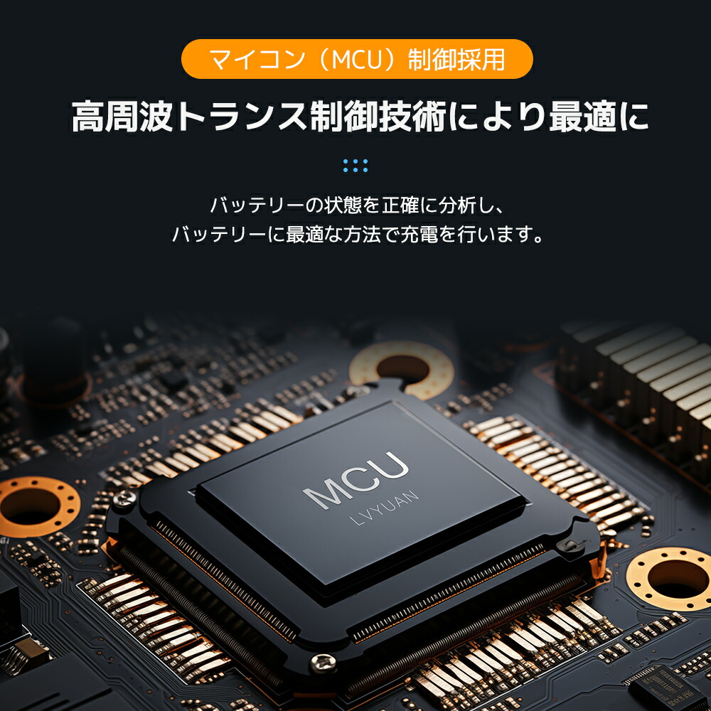 LiFePO4 リチウムイオンバッテリー専用充電器 3