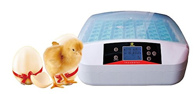 marum マイコン式鳥類専用自動転卵式 孵化器 1