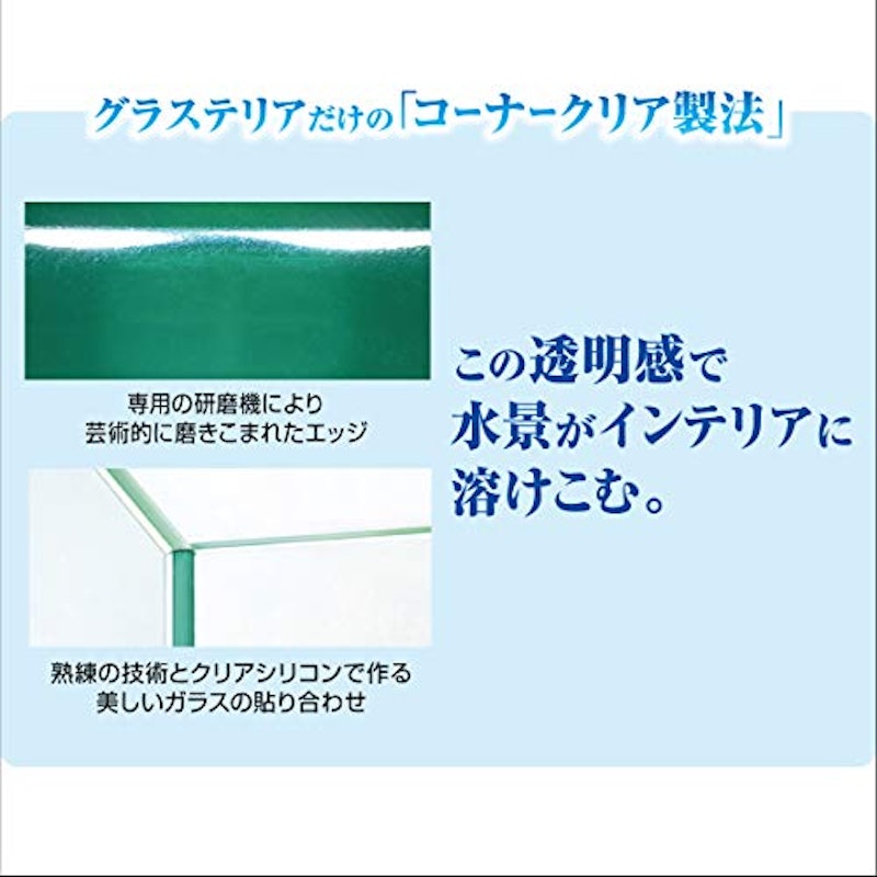 グラステリアスリム 水槽 4