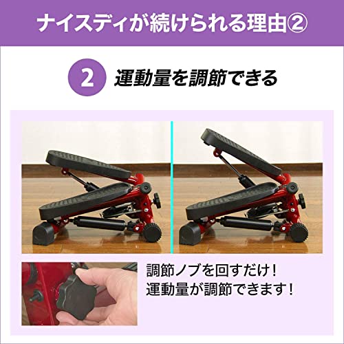  健康ステッパー ナイスデイ 5