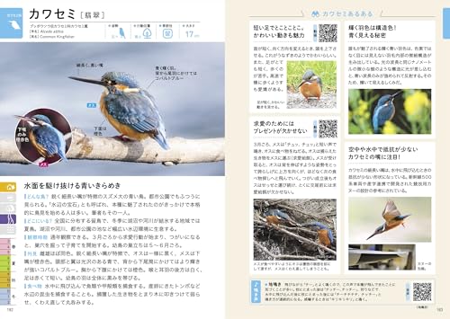 探す、出あう、楽しむ 身近な野鳥の観察図鑑 7