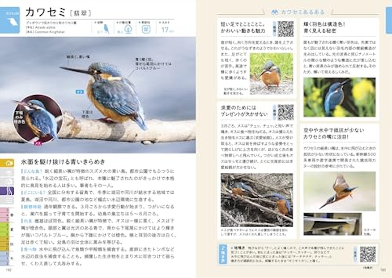 探す、出あう、楽しむ 身近な野鳥の観察図鑑 7