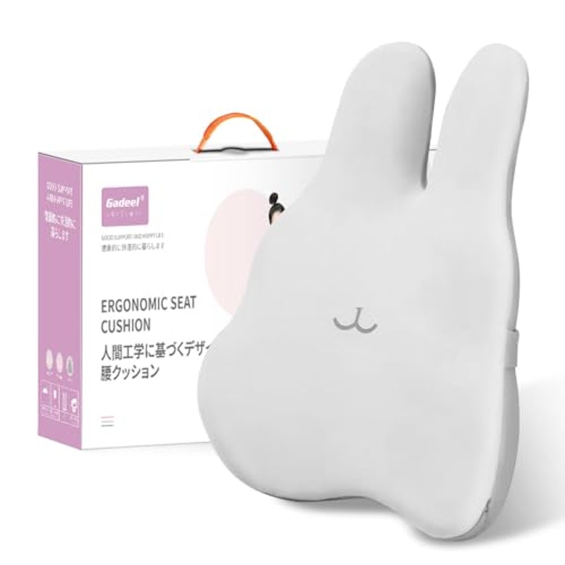 腰痛クッション 1