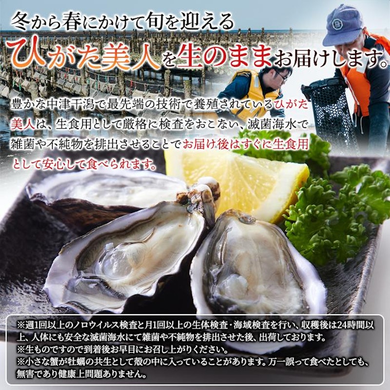 殻付き生牡蠣 ひがた美人 6