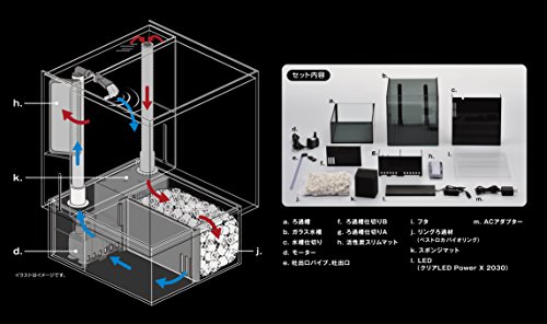 グラステリア アグス 6