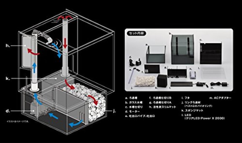 グラステリア アグス 6