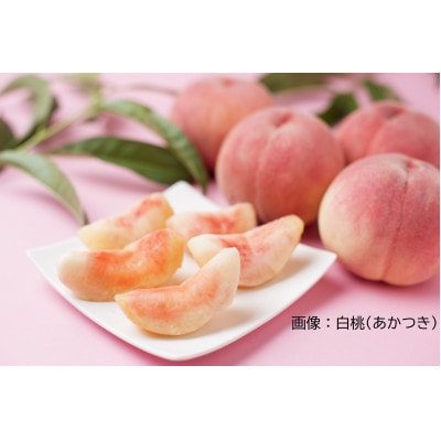 旬のもも 1