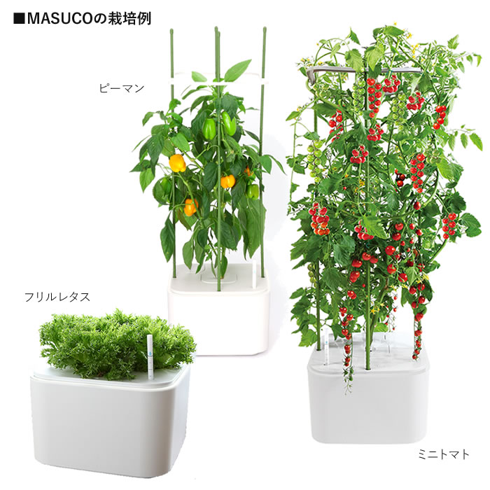 21年 水耕栽培キットのおすすめ人気ランキング19選 Mybest