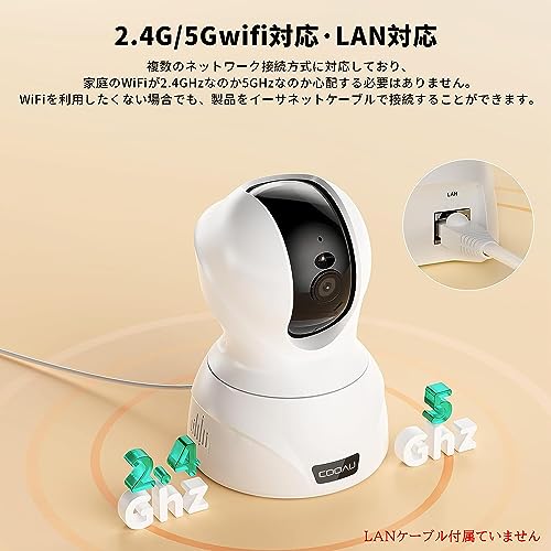 カメラ トップ 有線 lan