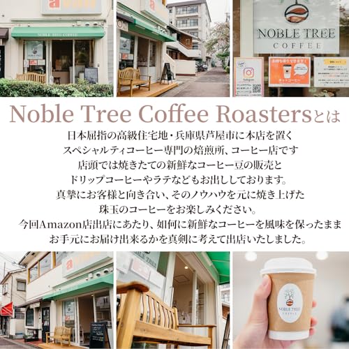 コーヒー豆 エチオピア モカ 6