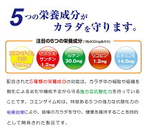 コエンザイム粒 2