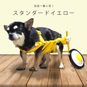 スタンダードイエロー 1