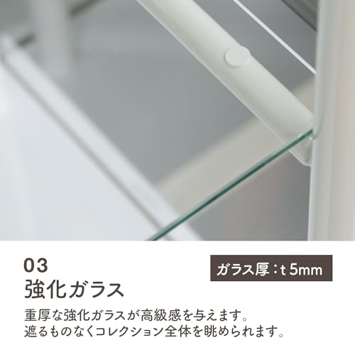 コレクションケース 6
