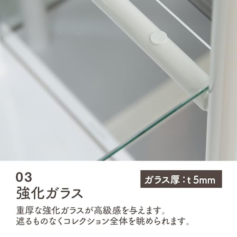 コレクションケース 6