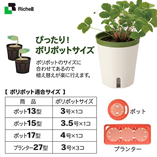 ミエルノPlus ポット 4