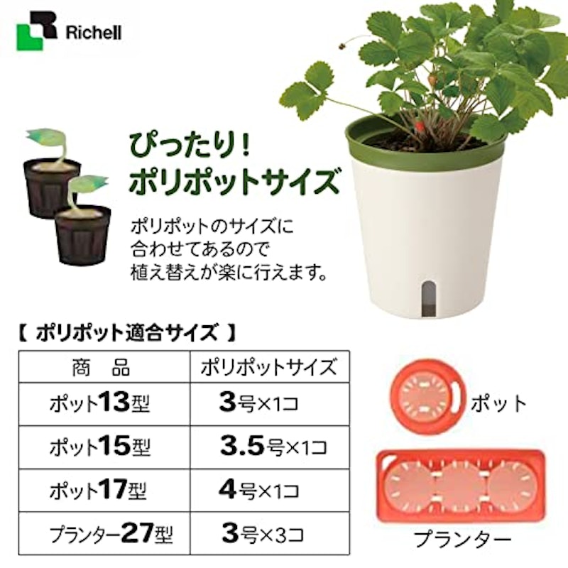 ミエルノPlus ポット 4