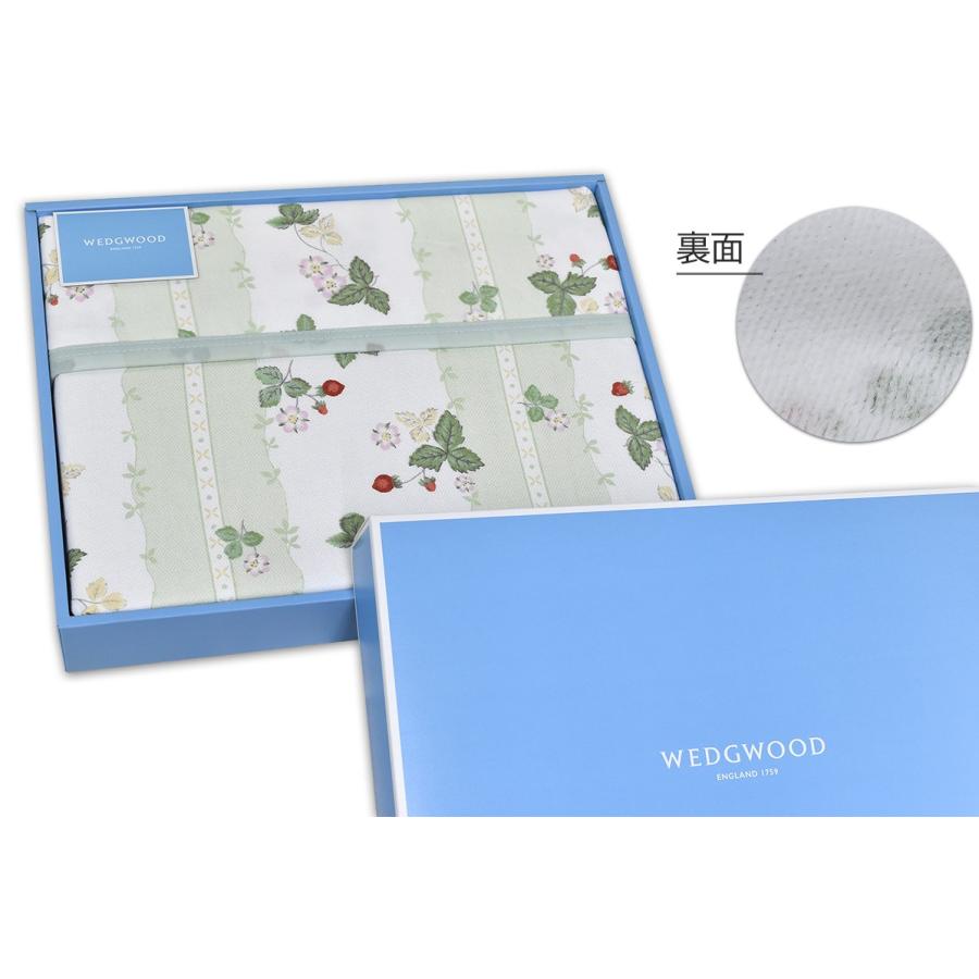 綿毛布 1
