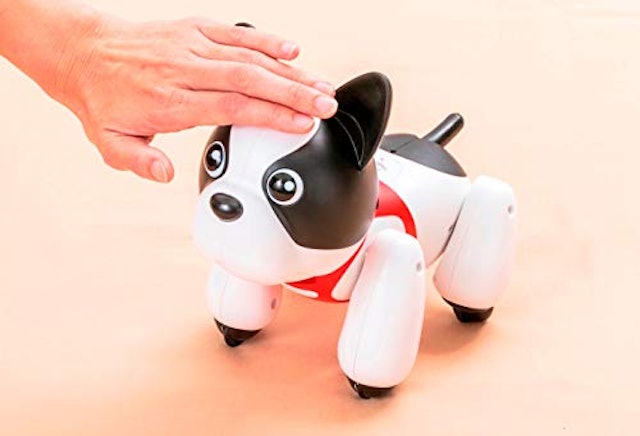 ペット型ロボットのおすすめ人気ランキング8選 癒される Mybest ペット型ロボットのおすすめ人気ランキング8選 癒される Mybest