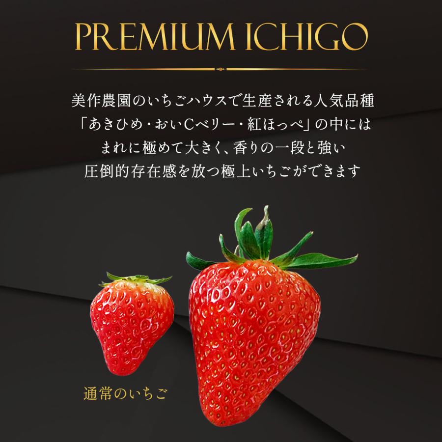 美しの香 クレオパトラおいCベリー 7