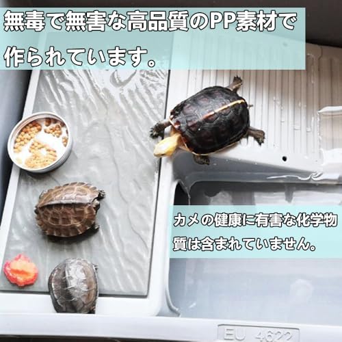 亀飼育用水槽 5