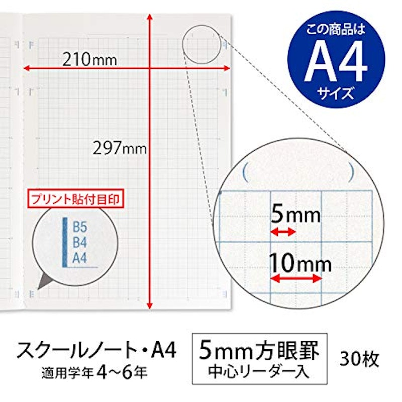 SCHOOL NOTE・A4・5mm方眼罫 2
