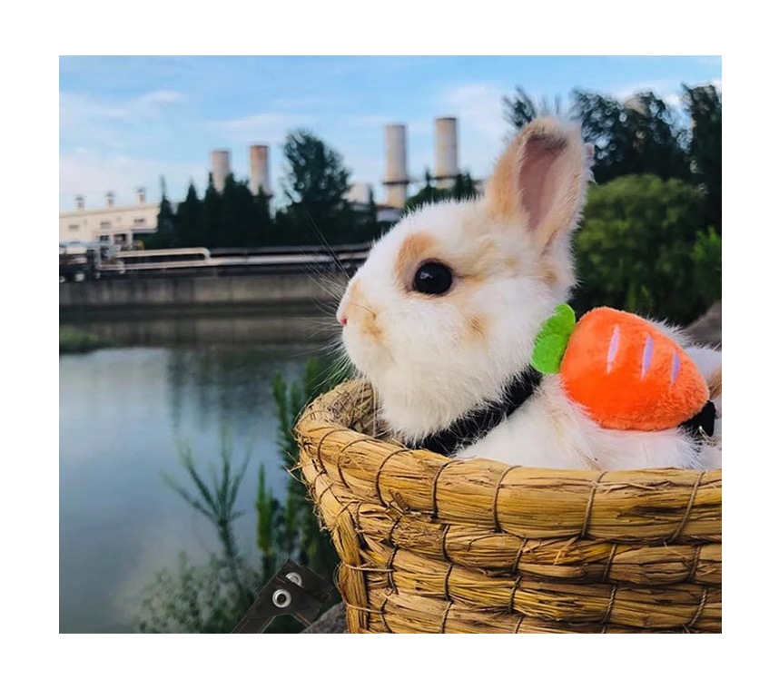 小動物用ハーネス 2