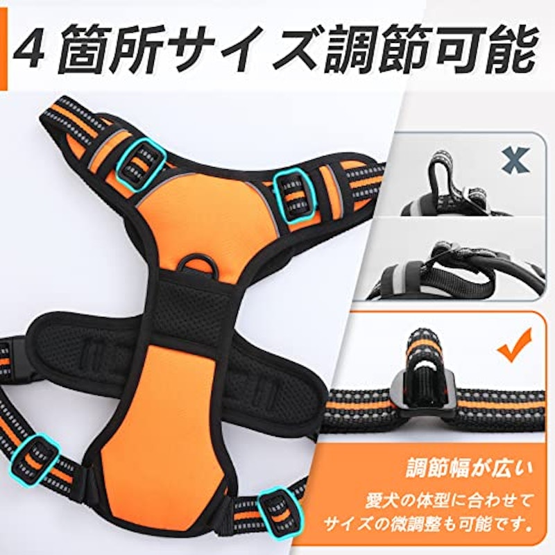 ハーネス 4