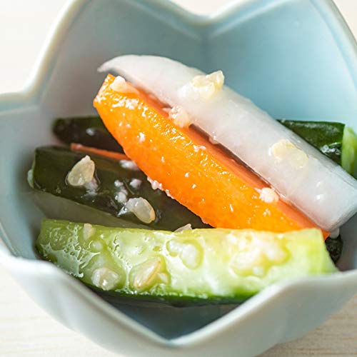 麹屋の玄米塩麹 5