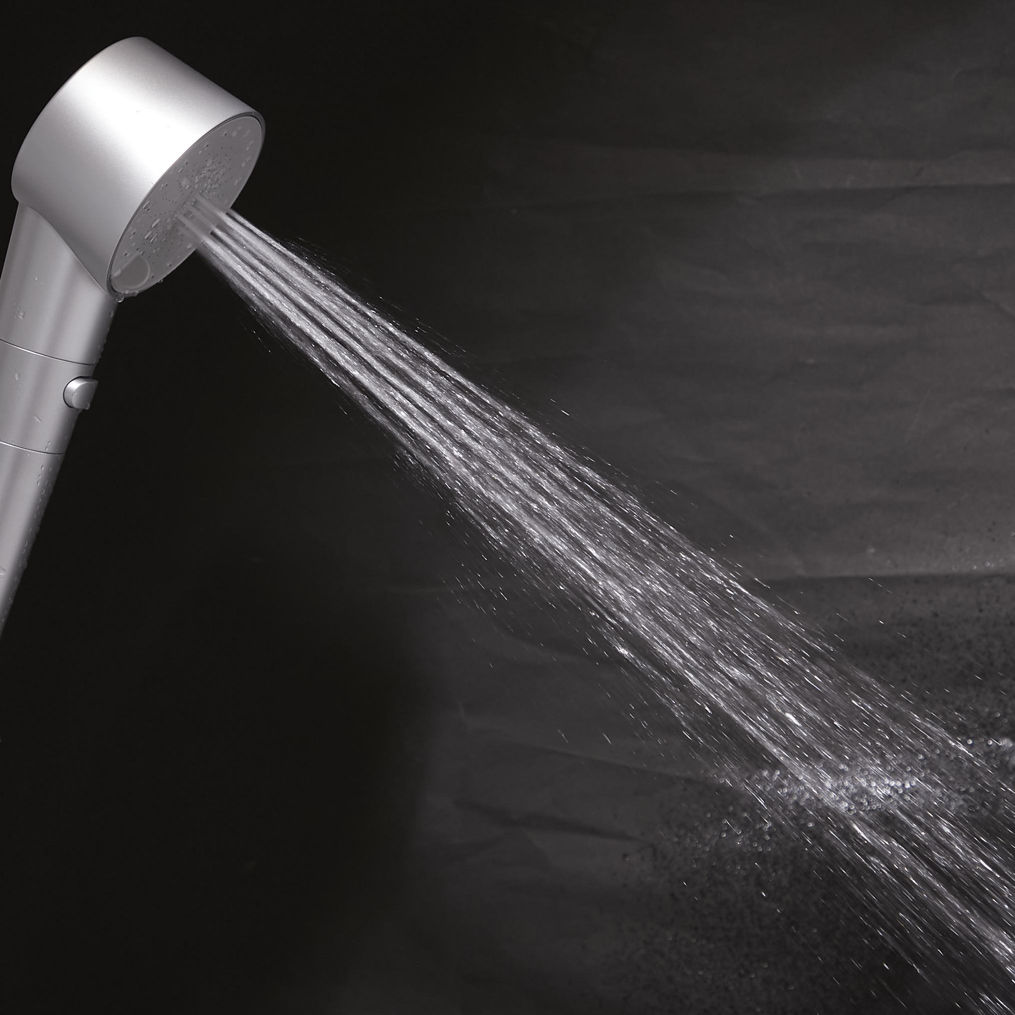 SALONIA シャワーヘッドファインクリア 楽天市場】【4300円OFFクーポン】SALONIA サロニア ファイン