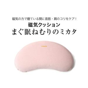 磁気枕のおすすめ人気ランキング【2026年6月】 5