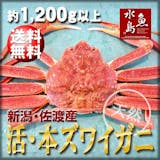 活カニ通販のおすすめ人気ランキング【2026年4月】 3
