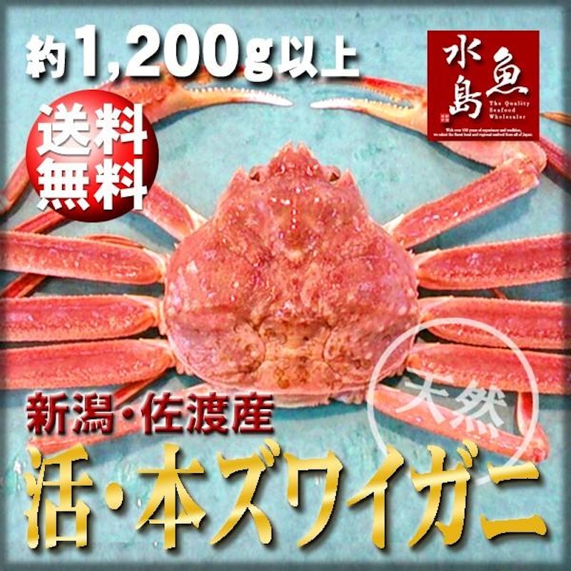 本ズワイガニ 1