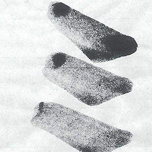 JA共済書道コンクール 画仙紙半切 野菊 4