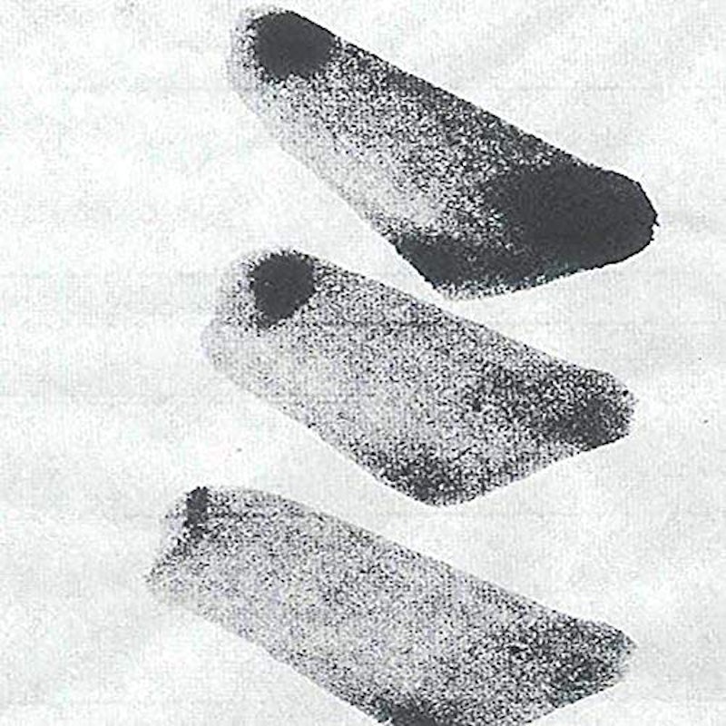 JA共済書道コンクール 画仙紙半切 野菊 4