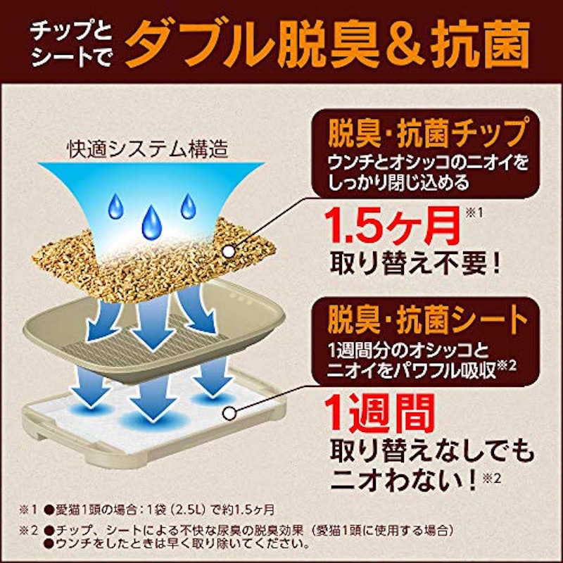オープンタイプ 2