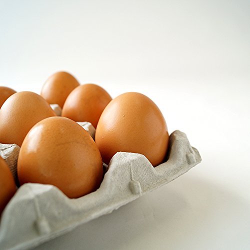 美味たま 4