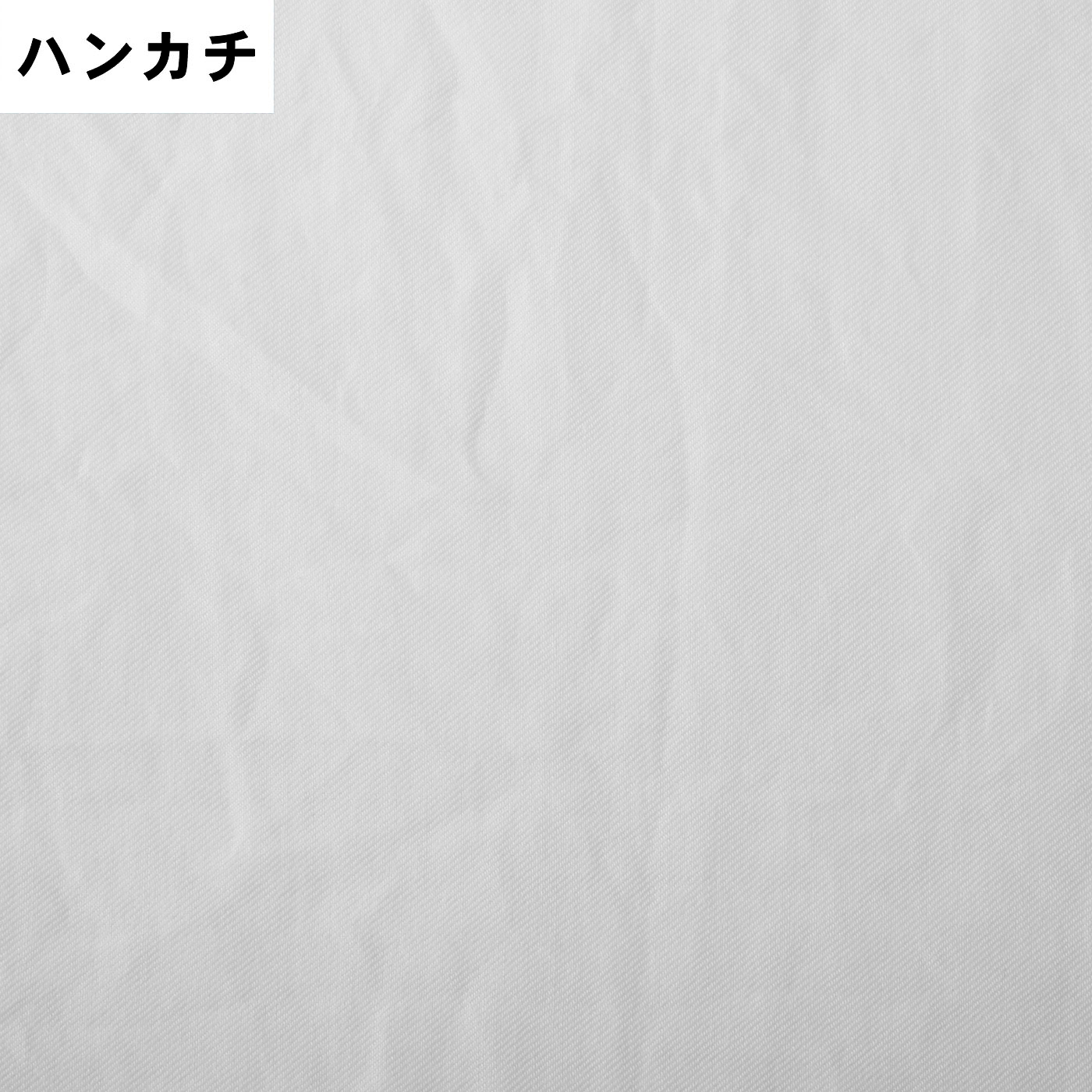 コードレス衣類スチーマー 15