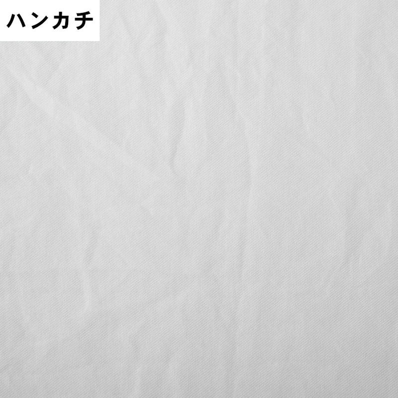 コードレス衣類スチーマー 15