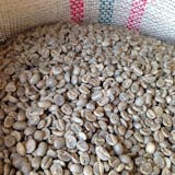 コーヒー生豆のおすすめ人気ランキング【2026年9月】 5
