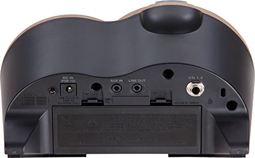 DR-01S Rhythm Partner 3