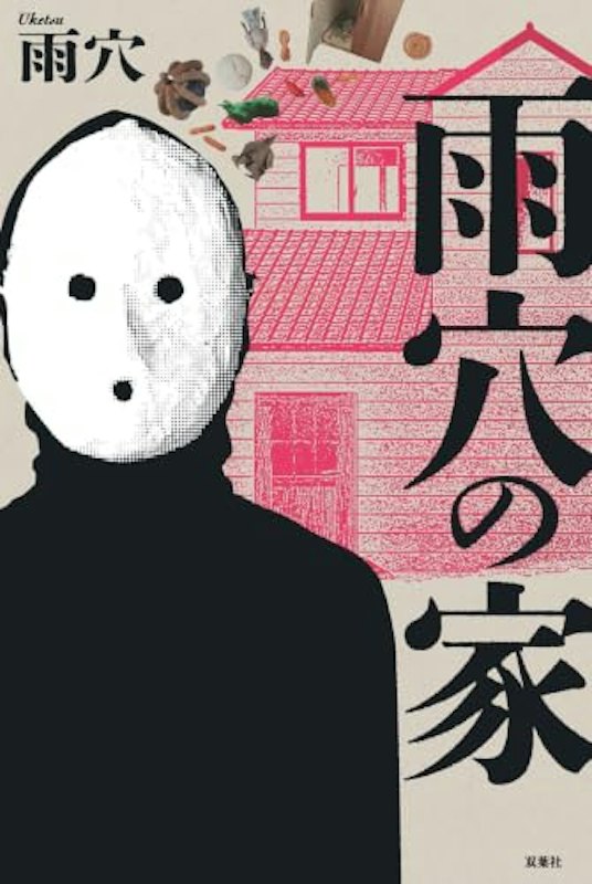 雨穴の家 1