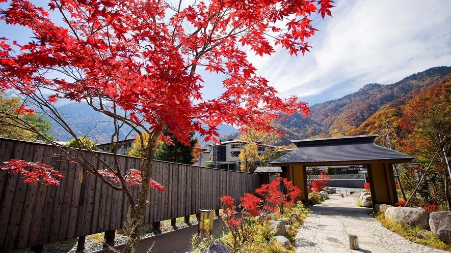 奥飛騨温泉郷 平湯 匠の宿 深山桜庵 1